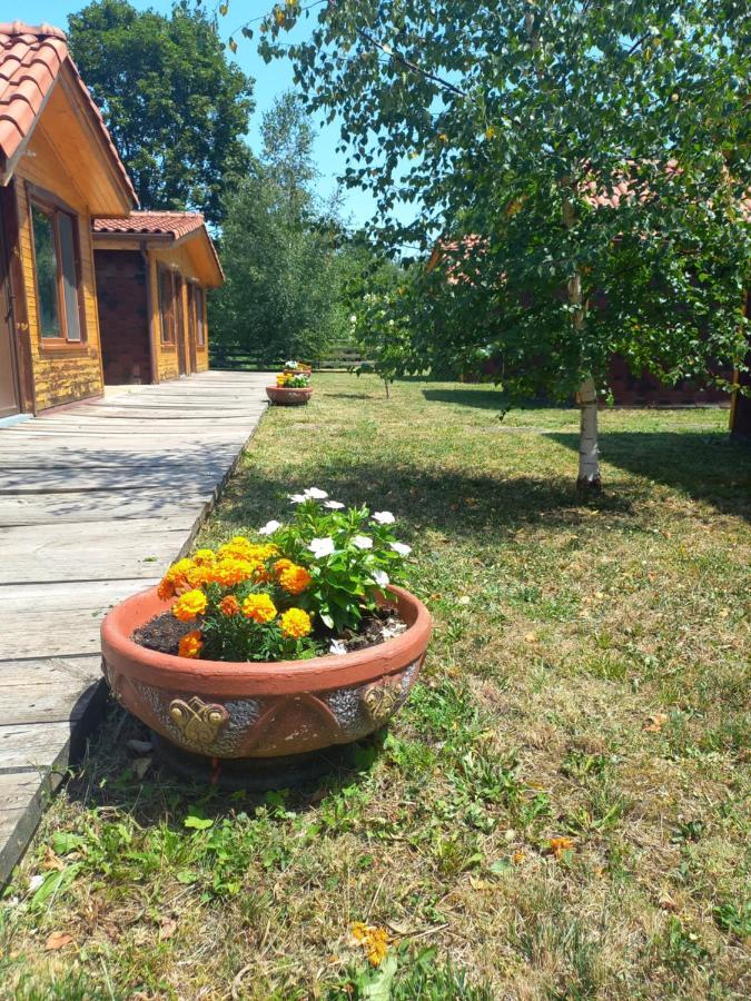 Вилно Селище Мировец Maluk Izvor  Buitenkant foto